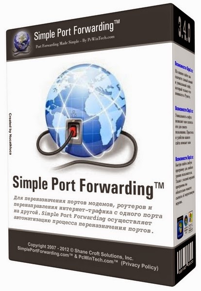 software port forwarding